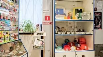 Ветеринарная клиника Котёнок Гав изображение 11